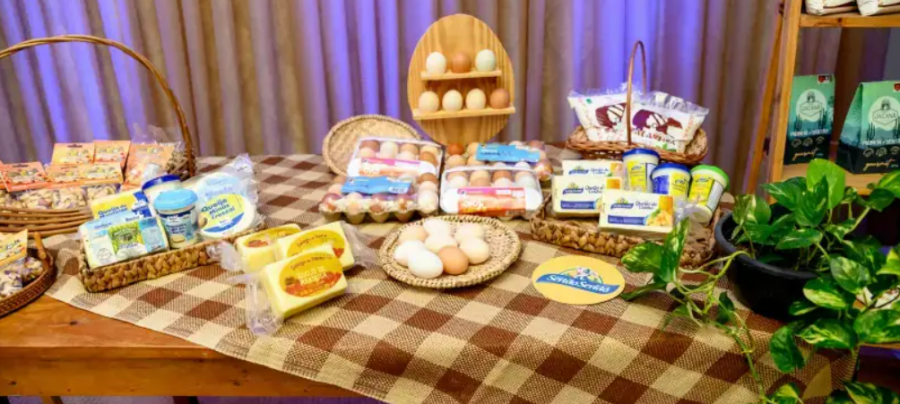 Selo Feito Potiguar completa um ano com 233 empresas certificadas no RN