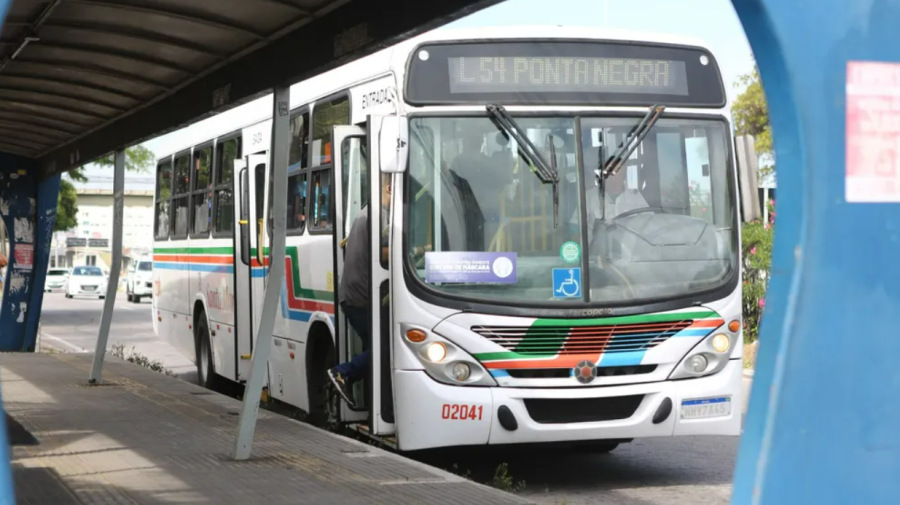 Domingo da Família terá ônibus gratuitos e mais viagens em Natal