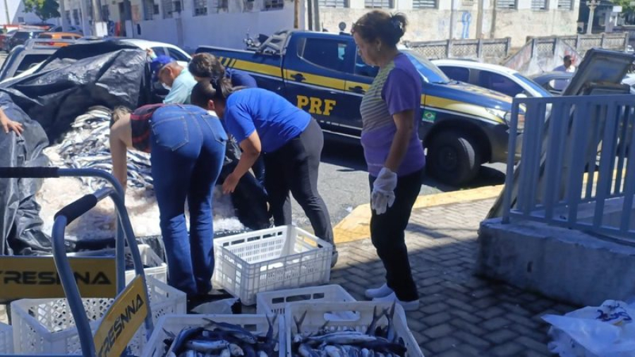 PRF apreende quase 700 kg de peixe irregular na BR-406 durante operação ambiental no RN