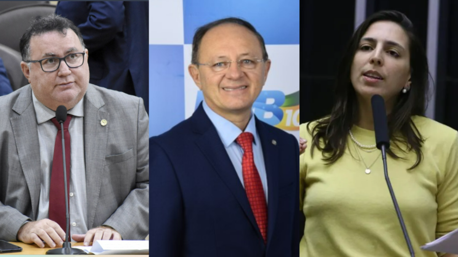 Pesquisa mostra eleitorado indefinido para deputado federal no RN; Natália Bonavides lidera cenário espontâneo