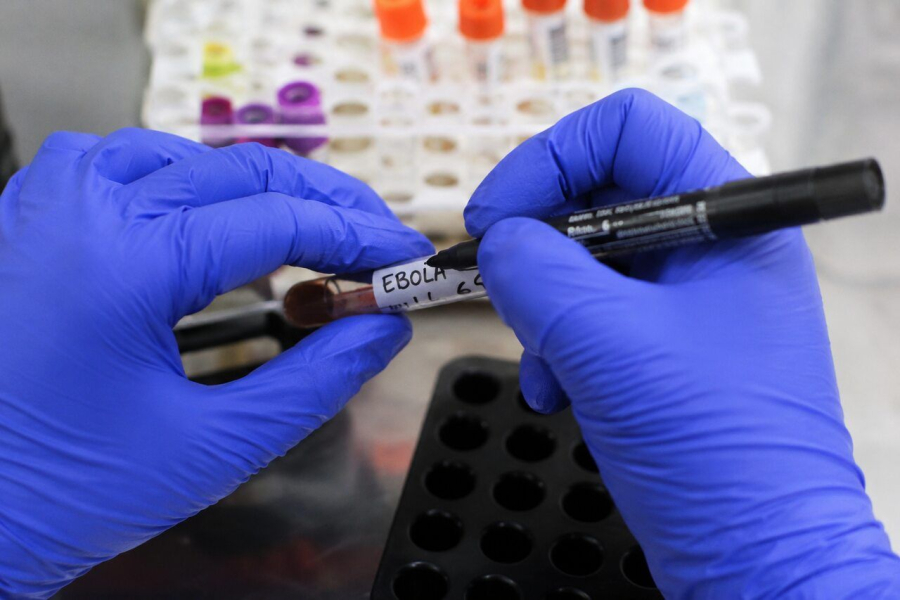Marrocos cancela amistosos internacionais por precaução contra avanço do Ebola