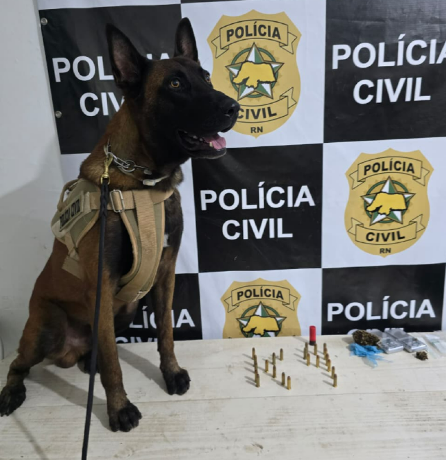 Adolescente é apreendido com drogas e munições durante operação policial em Pipa